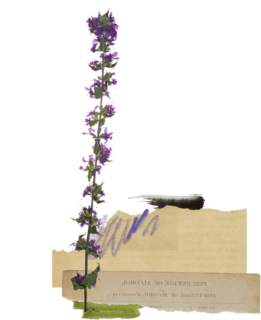 Floral decoration